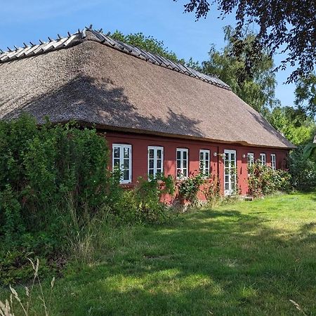 Bed and Breakfast Under Valnodden Stubbekøbing Exterior foto