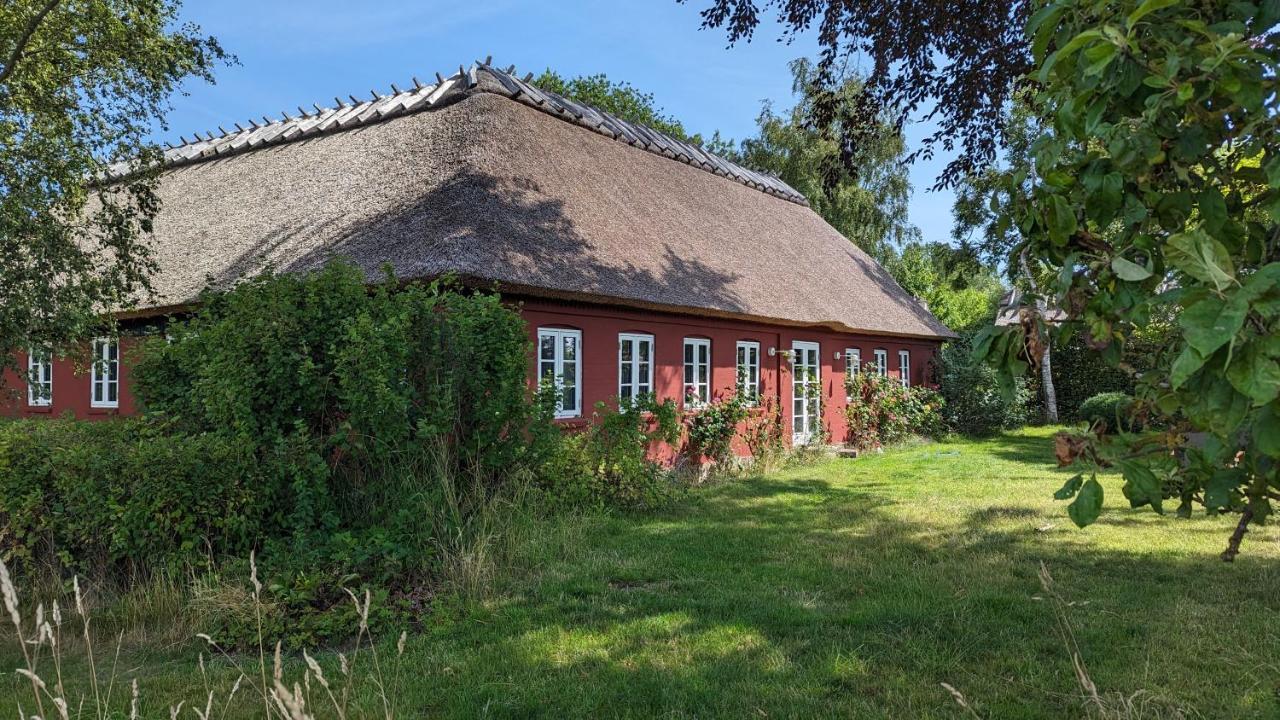 Bed and Breakfast Under Valnodden Stubbekøbing Exterior foto